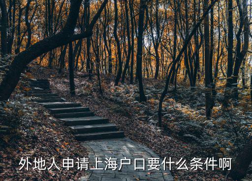 外地人申請(qǐng)上海戶口要什么條件啊