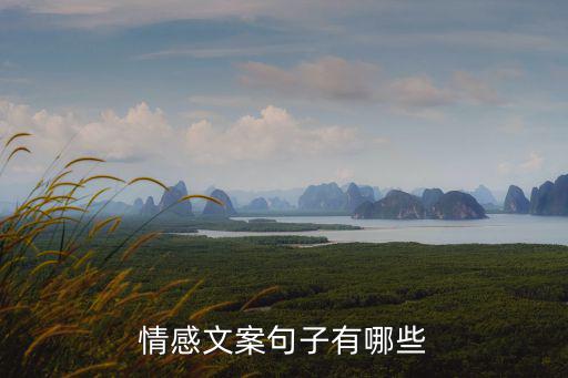 情感短句，情感語錄有哪些