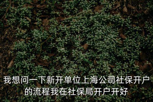 2022上海企業社保開戶流程，我想問一下新開單位上海公司社保開戶的流程我在社保局開戶開好