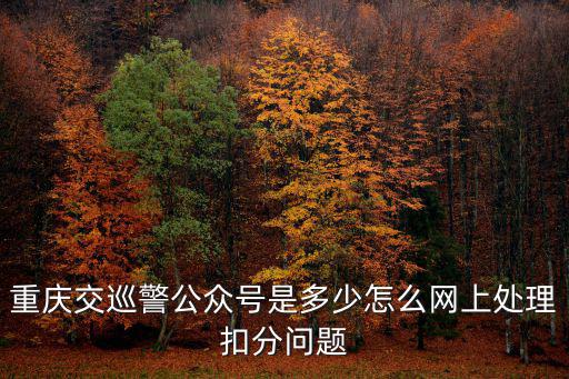 重慶交巡警公眾號(hào)是多少怎么網(wǎng)上處理扣分問(wèn)題