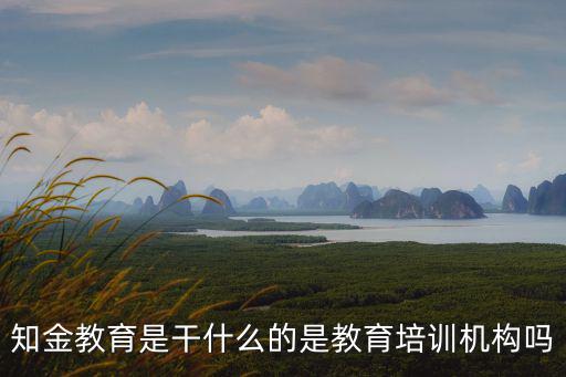 知金教育是干什么的是教育培訓(xùn)機(jī)構(gòu)嗎