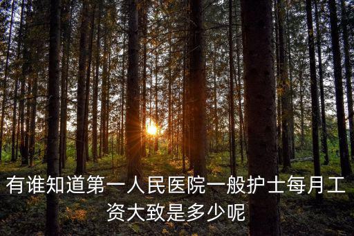 有誰知道第一人民醫院一般護士每月工資大致是多少呢