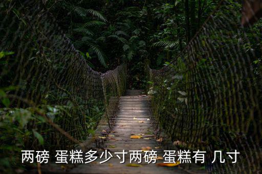 兩磅 蛋糕多少寸兩磅 蛋糕有 幾寸
