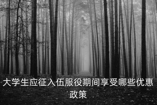 大學生入伍享受哪些優惠政策，大學生應征入伍服役期間享受哪些優惠政策
