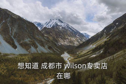 想知道 成都市 wilson專賣店 在哪