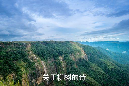 關(guān)于柳樹的詩