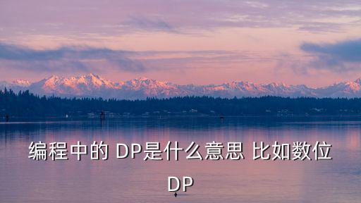 編程中的 DP是什么意思 比如數位DP