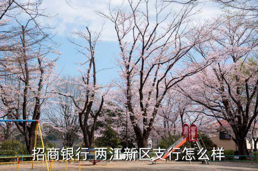 招商銀行 兩江新區支行怎么樣