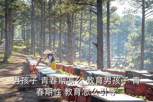 男孩子 青春期怎么 教育男孩子 青春期性 教育怎么引導