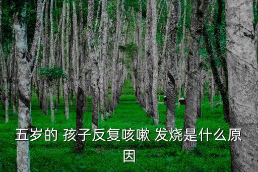 五歲的 孩子反復咳嗽 發燒是什么原因