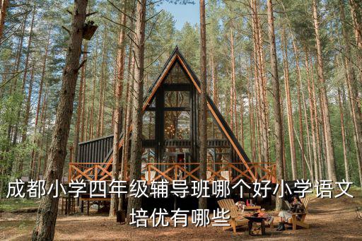 成都小學四年級輔導班哪個好小學語文培優有哪些