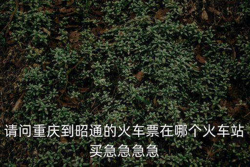 請問重慶到昭通的火車票在哪個火車站買急急急急