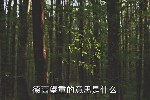 德高望重的意思是什么