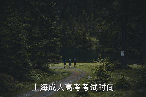 上海成人高考考試時間