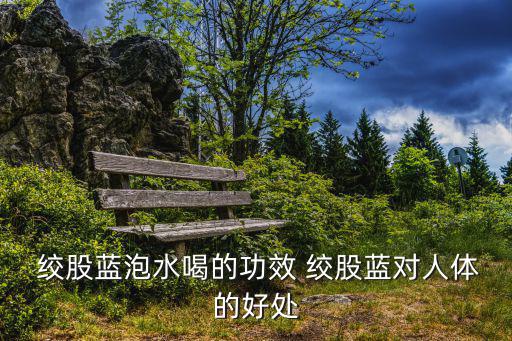  絞股藍泡水喝的功效 絞股藍對人體的好處
