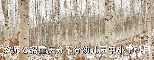 教師公招重慶分不分幼兒園中小學科目