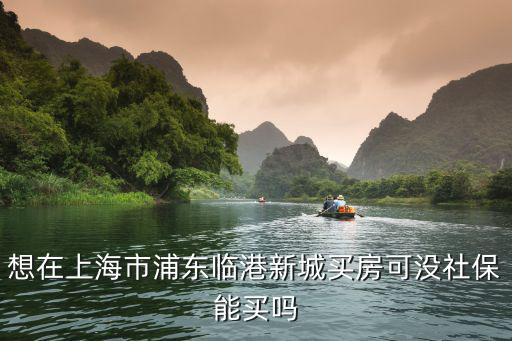 上海臨港買房政策，上海臨港限購嗎