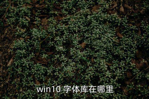  win10 字體庫在哪里