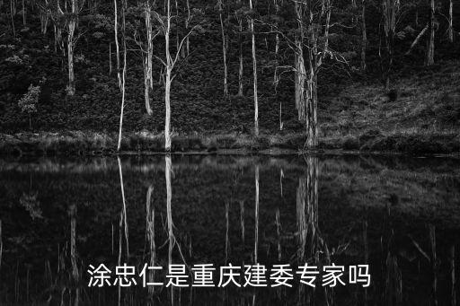 涂忠仁是重慶建委專家嗎