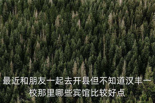 最近和朋友一起去開縣但不知道漢豐一校那里哪些賓館比較好點