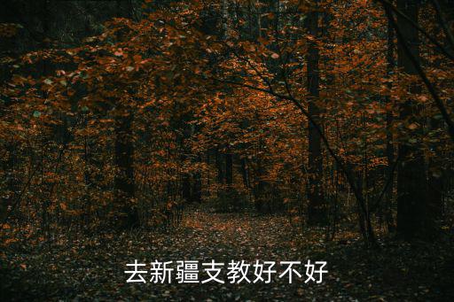 新疆支教，新疆喀什支教