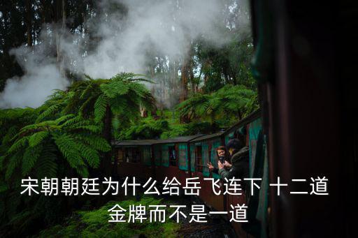 宋朝朝廷為什么給岳飛連下 十二道 金牌而不是一道