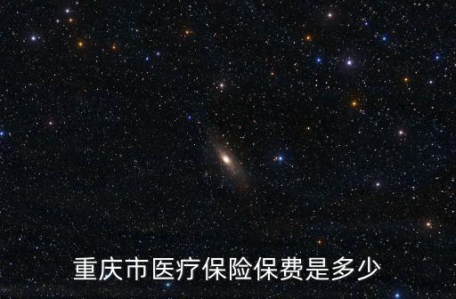 重慶市醫療保險保費是多少