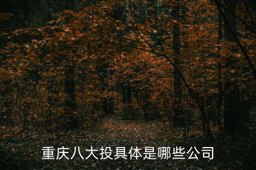 重慶八大投具體是哪些公司