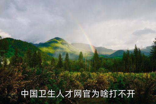 中國衛生人才網官為啥打不開
