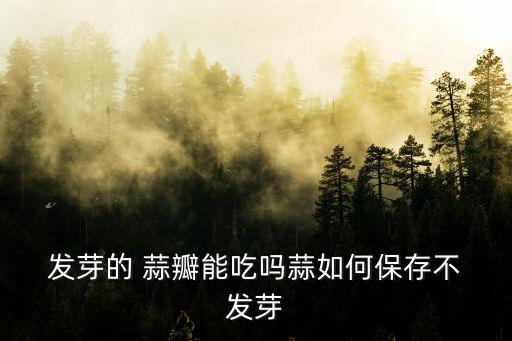  發芽的 蒜瓣能吃嗎蒜如何保存不 發芽