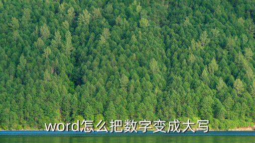 word怎么把數(shù)字變成大寫