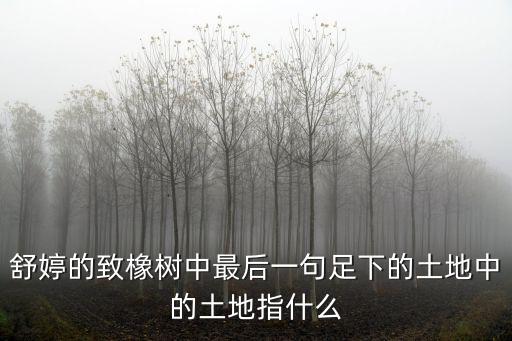 舒婷的致橡樹中最后一句足下的土地中的土地指什么