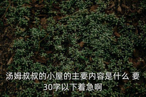 湯姆叔叔的小屋的主要內容是什么 要30字以下著急啊