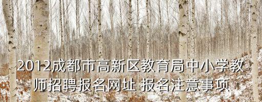 2012成都市高新區教育局中小學教師招聘報名網址 報名注意事項