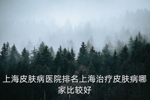 上海皮膚科專家排名榜名單，上海皮膚病醫院排名上海治療皮膚病哪家比較好