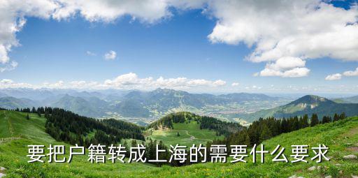 要把戶籍轉(zhuǎn)成上海的需要什么要求