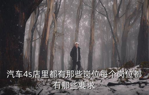 汽車(chē)4s店里都有那些崗位每個(gè)崗位都有那些要求
