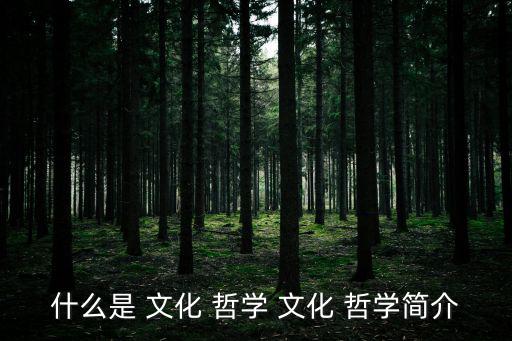 哲學(xué)與文化,人民大學(xué)出版社出版《中國(guó)文化》哲學(xué)與文化