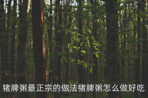 最好的補(bǔ)脾胃的粥,豬肚和牛肚有同樣作用適合脾虛者吃
