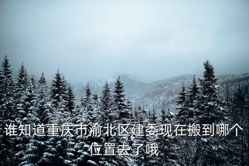 誰知道重慶市渝北區(qū)建委現(xiàn)在搬到哪個位置去了哦
