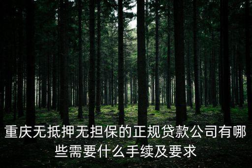 重慶無抵押無擔(dān)保的正規(guī)貸款公司有哪些需要什么手續(xù)及要求