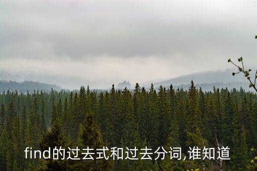 find的過去式,精選新加坡人精選句子