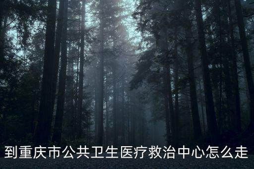 到重慶市公共衛生醫療救治中心怎么走