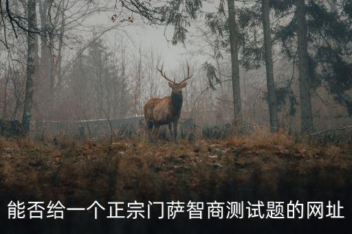 門薩智商測試官網，能否給一個正宗門薩智商測試題的網址