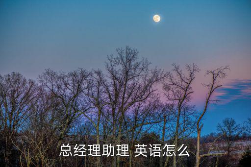 總經理助理 英語怎么