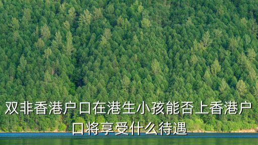 雙非香港戶口在港生小孩能否上香港戶口將享受什么待遇