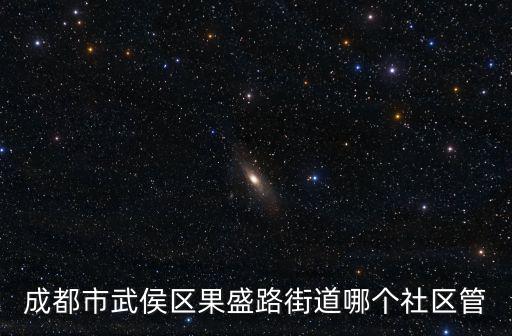 成都市武侯區果堰街殺人，想知道成都市 武候區果堰村 在哪