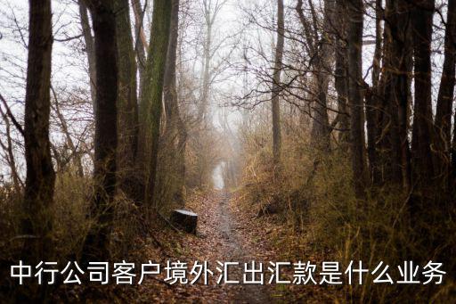 付款通知書,匯款銀行開立即期銀行匯票并向收款人支付一定金額