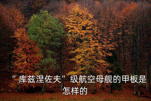 “ 庫茲涅佐夫”級航空母艦的甲板是怎樣的