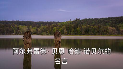 貝恩哈德,諾貝爾化學(xué)家、發(fā)明家、炸藥發(fā)明者